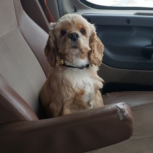 Meet your Posher, Candy